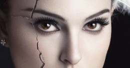 Banniere Black Swan