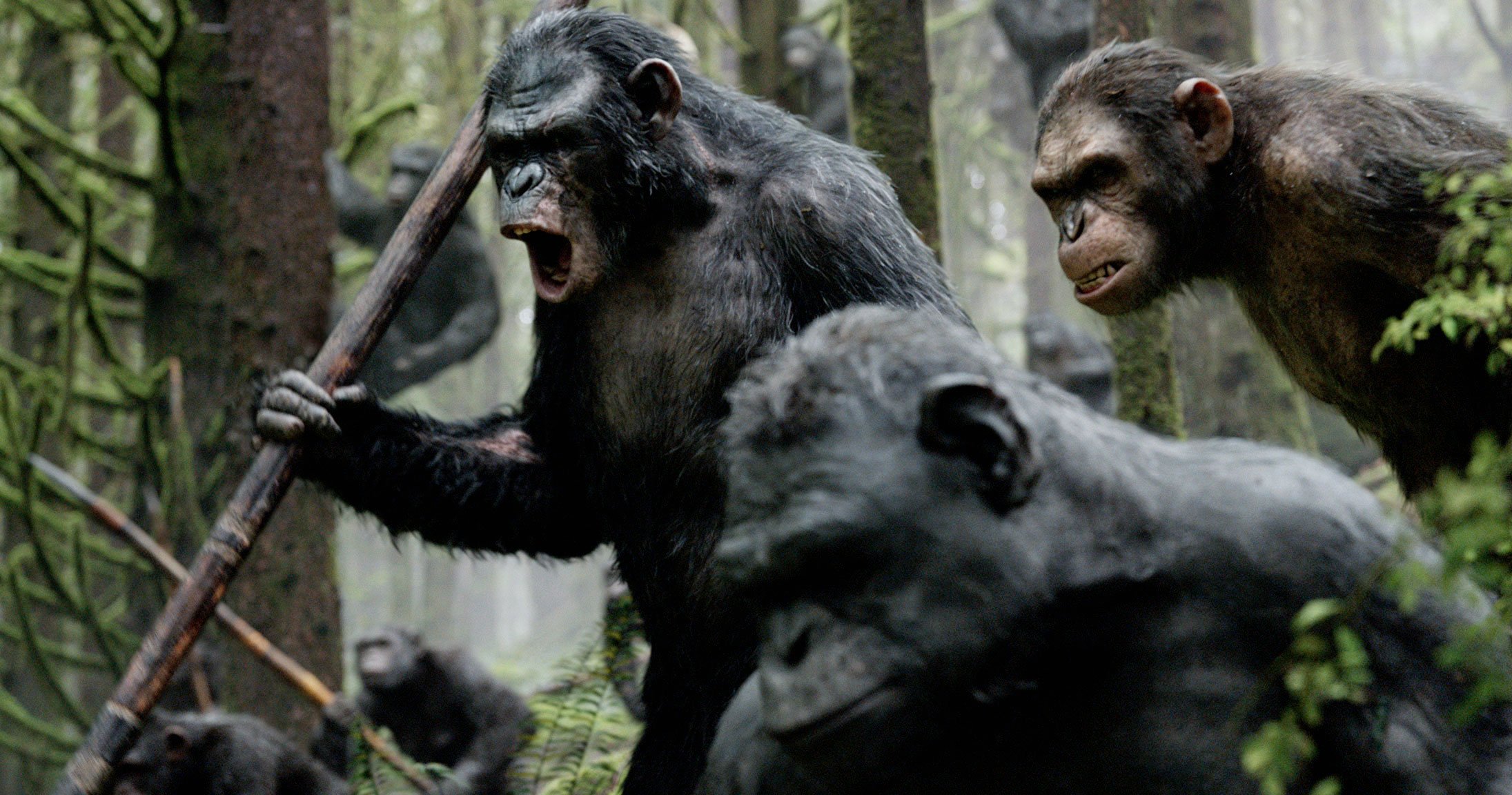 Photo La Planète des singes l’affrontement (Koba)