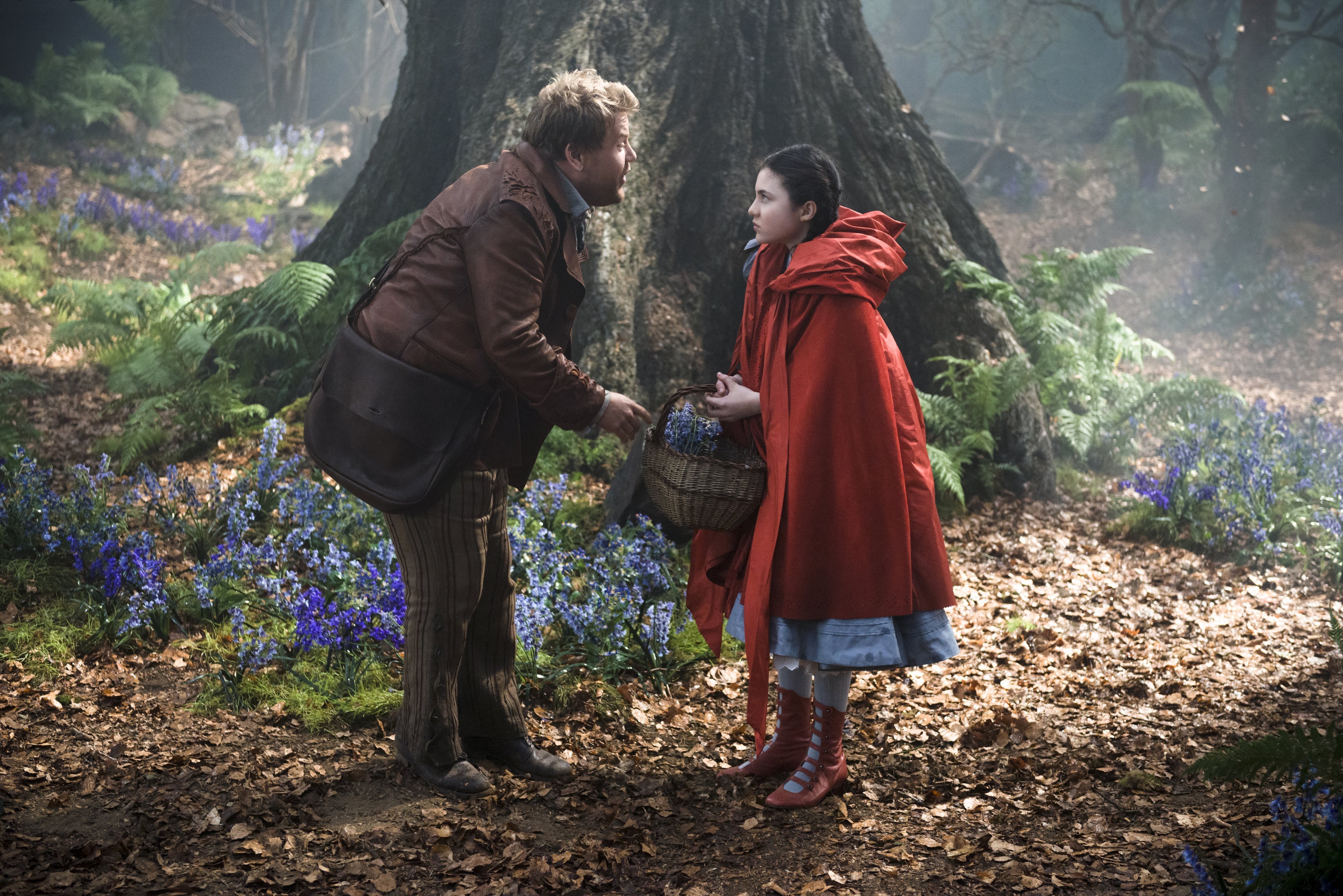 Film D Horreur Dans Les Bois Photo : Into the Woods, Promenons-nous dans les bois