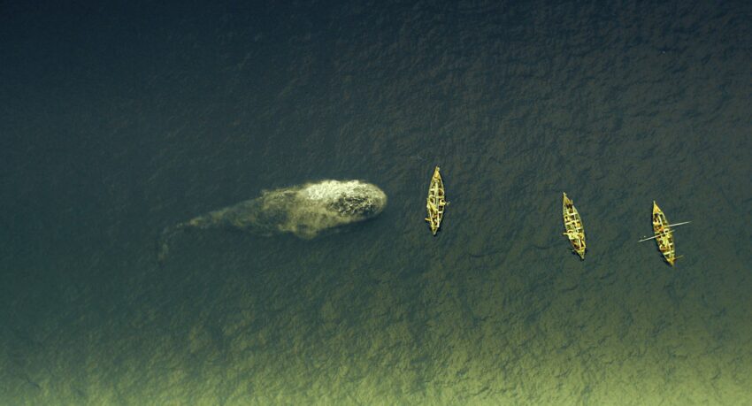 Photo du film Au Coeur de l'Océan réalisé par Ron Howard
