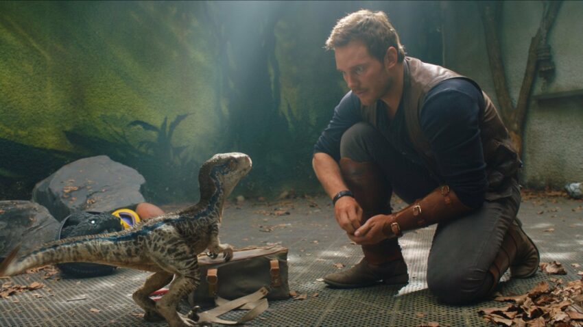 Photo du film Jurassic World: Fallen Kingdom avec Blue et Owen