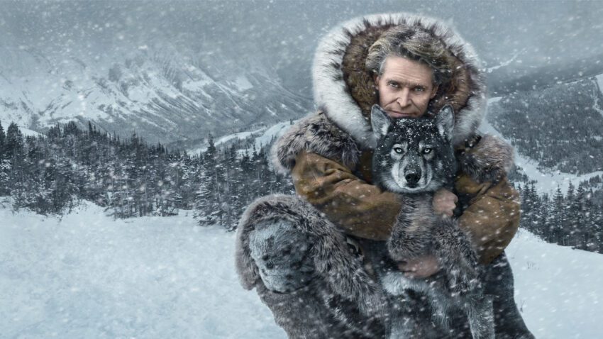 Bannière du film Disney+, Togo, réalisé par Ericson Core avec Willem Dafoe et Julianne Nicholson